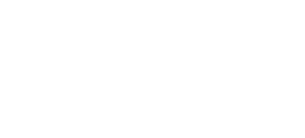 The Technion Institute of Technology